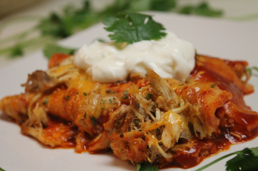 Easy Shredded Chicken Enchiladas I Heart Recipes