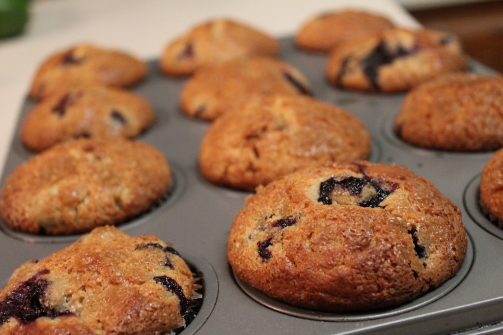 These golden-brown blueberry cheesecake muffins are topped with a layer of crunchy, sweet sugar!