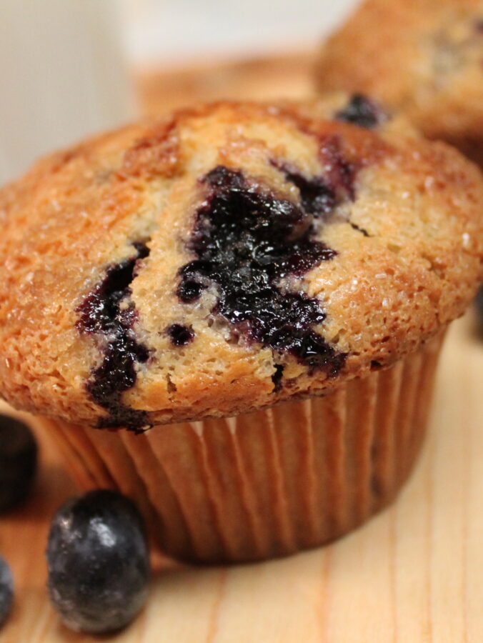blueberry cheesecake muffins