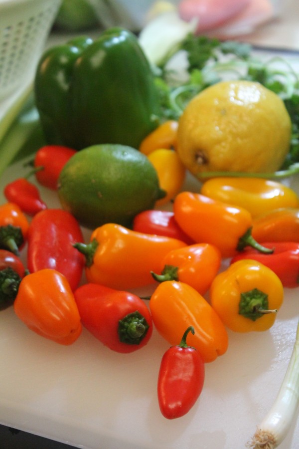 Grilled chicken nachos are made with a colorful mix of crispy vegetables and sweet fruit!