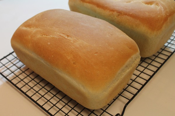 Two loaves of perfectly baked, golden brown homemade white bread sit on a wire cooling rack.