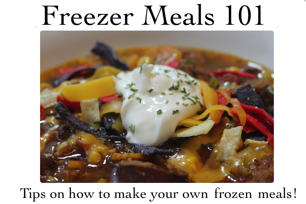 Freezer Meals for One - Freezer Meals 101