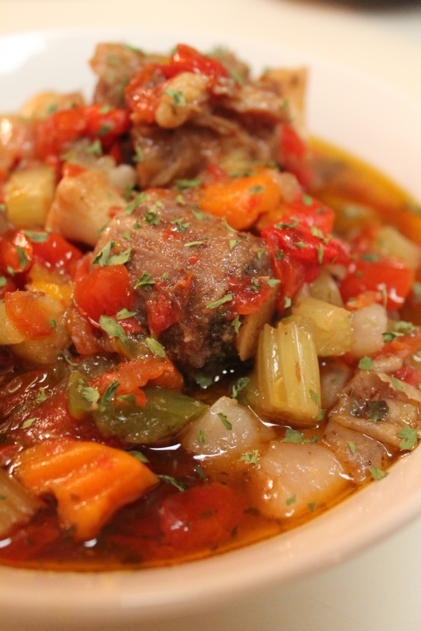 A white bowl filled with Slow Cooked Oxtail Stew. This close up image showcases the tender oxtail, bright veggies and warm broth. 