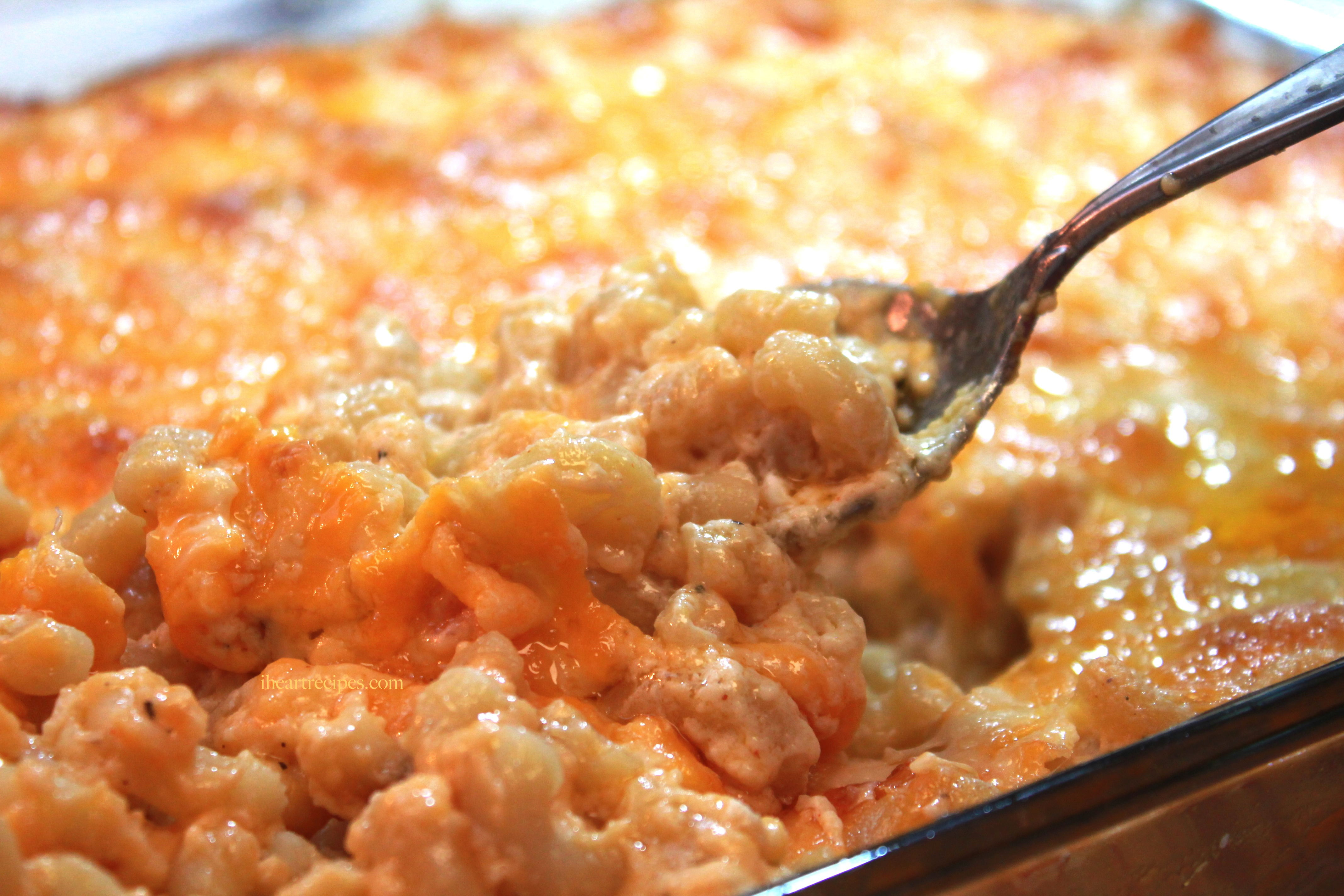 baked macaroni and cheese with egg