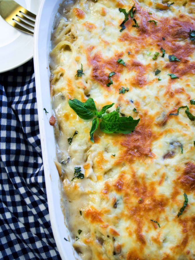 Creamy Chicken Tetrazzini