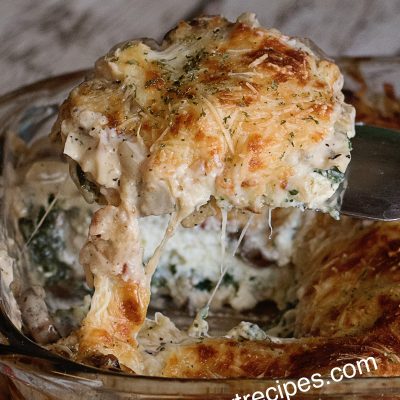 Vegetable Lasagna with White Sauce