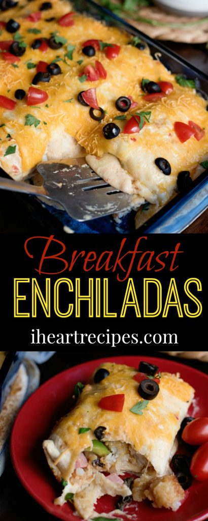 Cheesy Breakfast Enchiladas - the perfect breakfast recipe any time