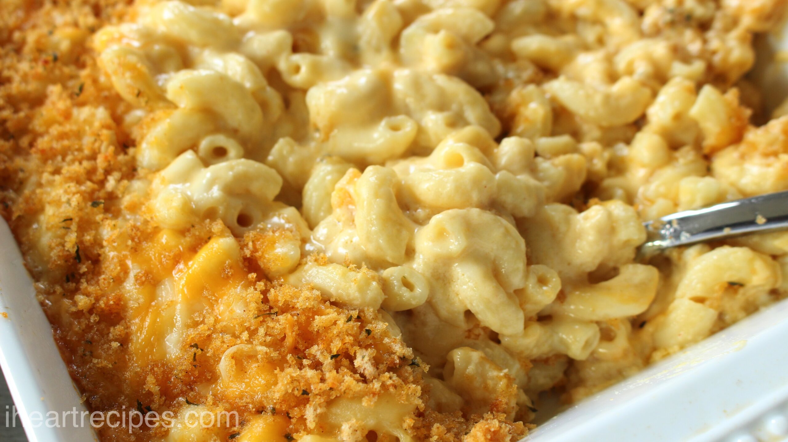 A close-up image of a white casserole dish filled with creamy baked mac and cheese casserole topped with breadcrumbs.