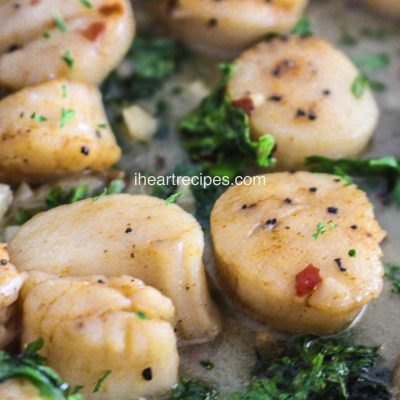 Garlic Butter Scallops Recipe