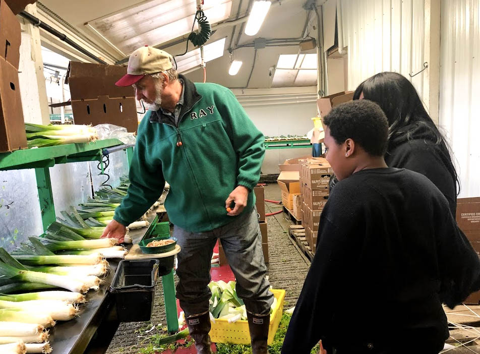 I got to visit my local farm to see how farmers manage their fresh produce. 