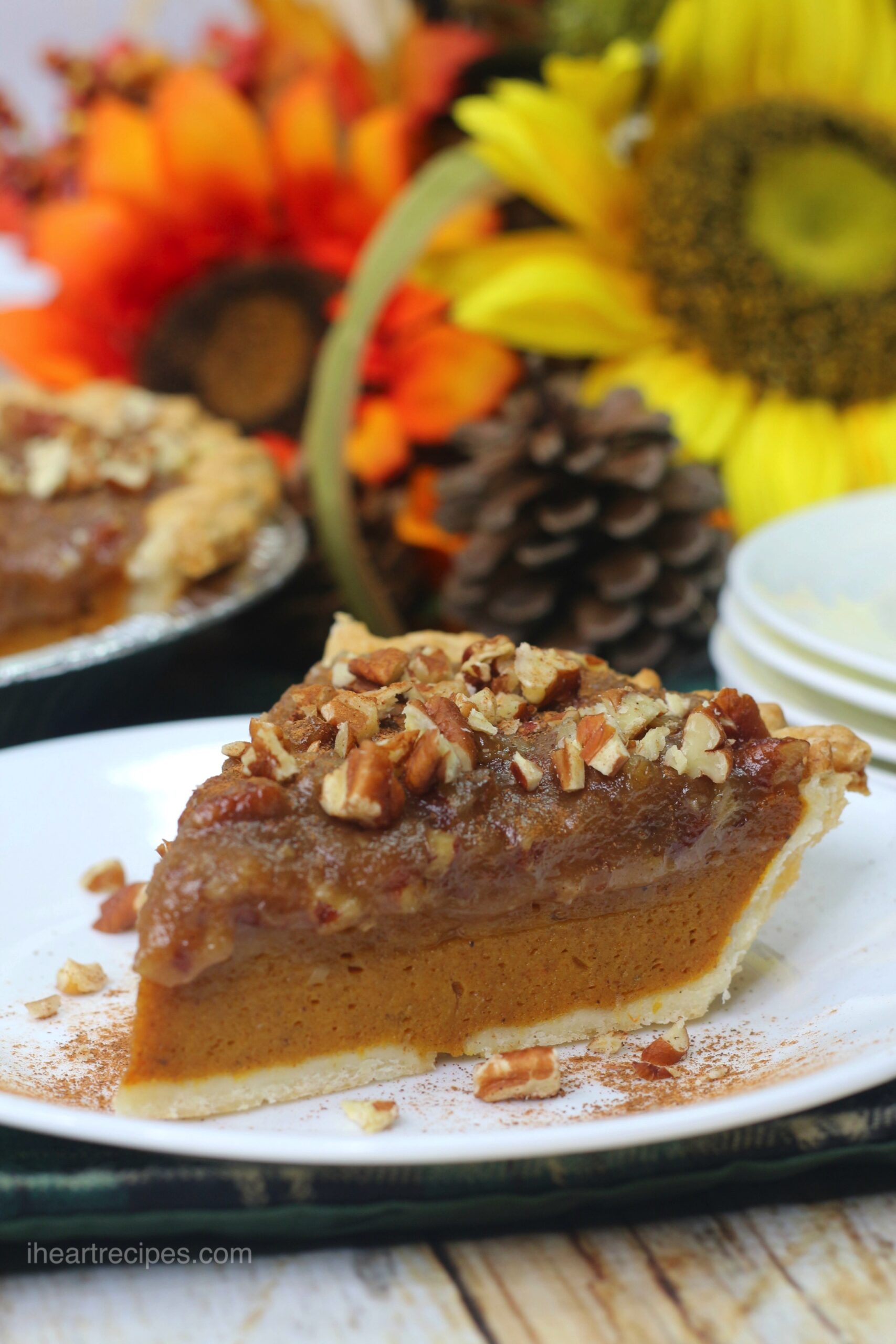A close up image of a single slice of pecan pumpkin pie. The pie has a thin layer of pecan pie filling on top of a traditional pecan pie. Garnished with chopped pecans and ground cinnamon, the pie is served on a small white plate.