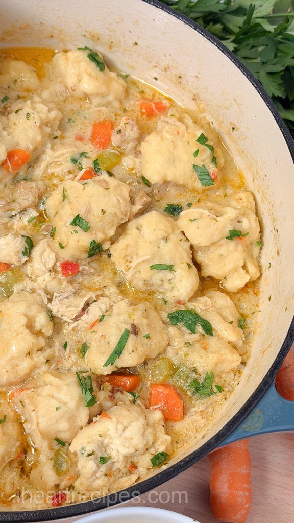 Overhead of homemade chicken and dumplings in a pot.